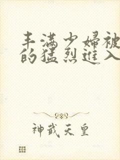 丰满少妇被粗大的猛烈进入