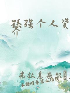 孙强个人资料简介