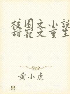 校园文小说推荐甜宠文重生