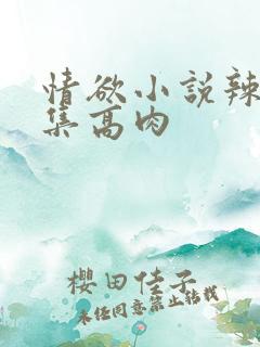 情欲小说辣文合集高肉