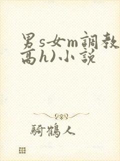 男s女m调教(高h)小说