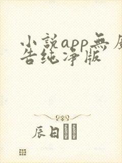 小说app无广告纯净版