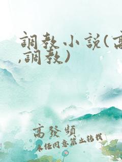 调教小说(高h,调教)