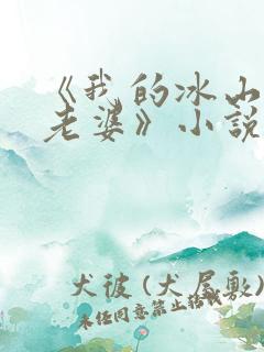 《我的冰山总裁老婆》小说