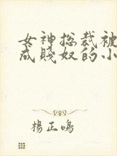 女神总裁被调教成贱奴的小说