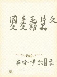 国产毛片久久久久久精品