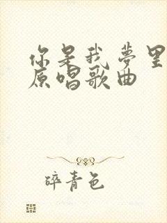你是我梦里的人原唱歌曲