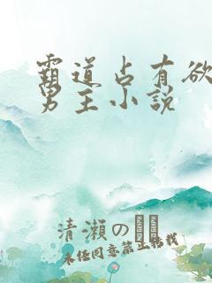 霸道占有欲强的男主小说