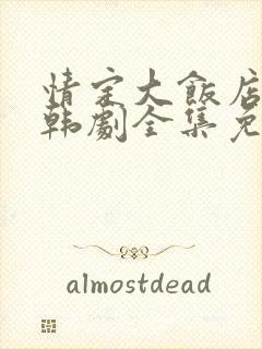 情定大饭店高清韩剧全集免费观看