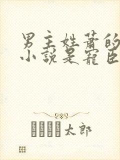 男主姓萧的古代小说是宠臣