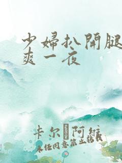 少妇扒开腿让我爽一夜