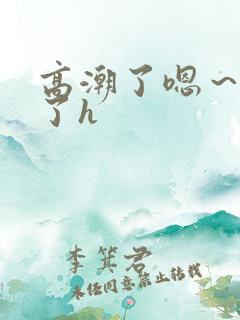 高潮了嗯～喷水了h