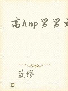 高hnp男男文