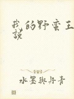 我的野蛮王妃小说