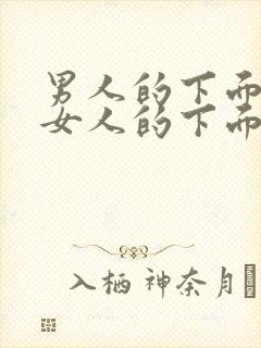 男人的下面插进女人的下面视频