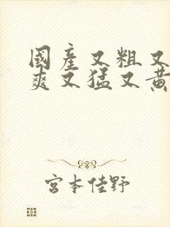 国产又粗又硬又爽又猛又黄视频