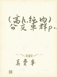 (高h,纯肉)公交车群p小说