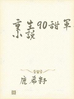 重生90甜军嫂小说