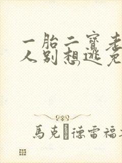 一胎二宝老婆大人别想逃免费