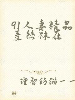 91人妻精品国产丝袜在