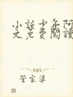 小说少年阿斌全文免费阅读