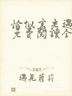 恰似寒光遇骄阳免费阅读全文无窗口