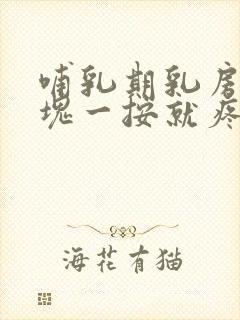 哺乳期乳房有硬块一按就疼