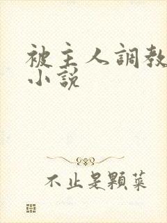 被主人调教sp小说