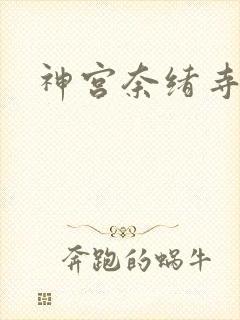 神宫奈绪寺在线