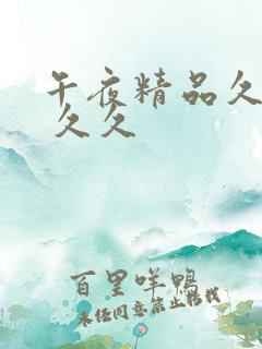 午夜精品久久久 久久