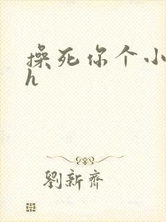 操死你个小骚货h