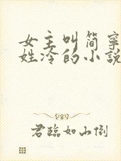 女主叫简宁男主姓冷的小说