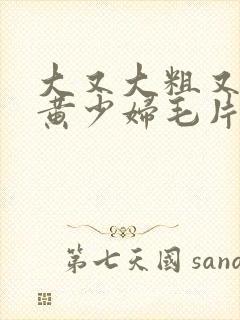 大又大粗又爽又黄少妇毛片