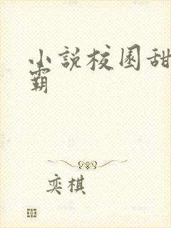 小说校园甜文校霸