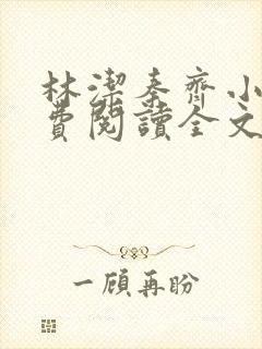 林洁秦齐小说免费阅读全文最新章节