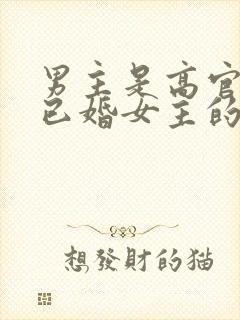 男主是高官看上已婚女主的小说