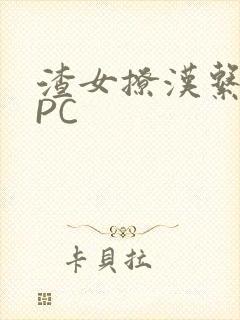 渣女撩汉系统NPC