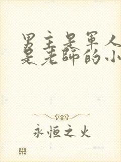 男主是军人女主是老师的小说