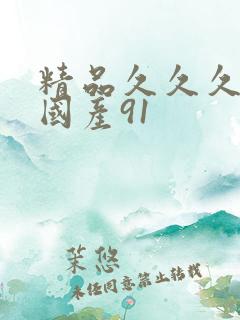 精品久久久久久国产91