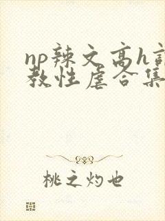 np辣文高h调教性虐合集