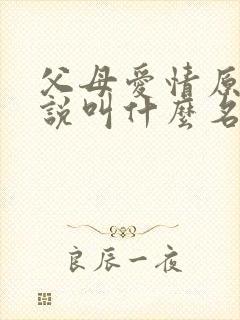 父母爱情原著小说叫什么名字