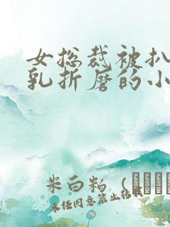 女总裁被扒开双乳折磨的小说