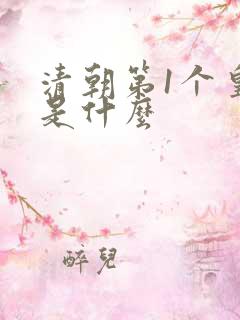 清朝第1个皇帝是什么