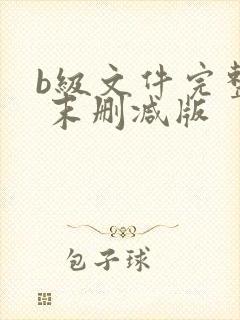 b级文件完整版 末删减版