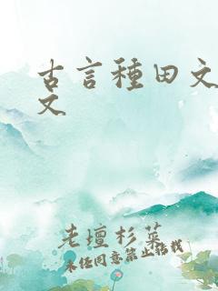 古言种田文甜宠文