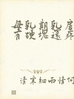 母乳期乳房里面有硬块还疼怎么回事