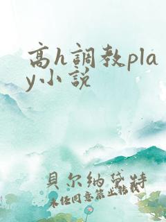 高h调教play小说