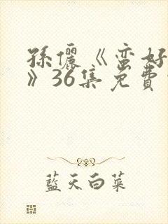 孙俪《蛮好人生》36集免费观看