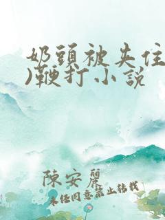 奶头被夹住(h)鞭打小说