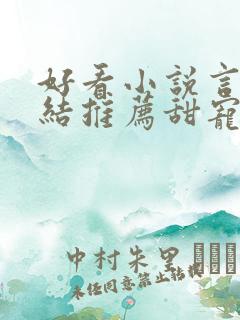 好看小说言情完结推荐甜宠文